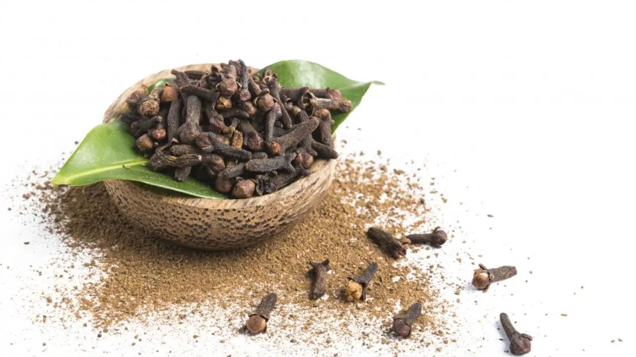 Clove A Comprehensive Guide to Benefits and Uses